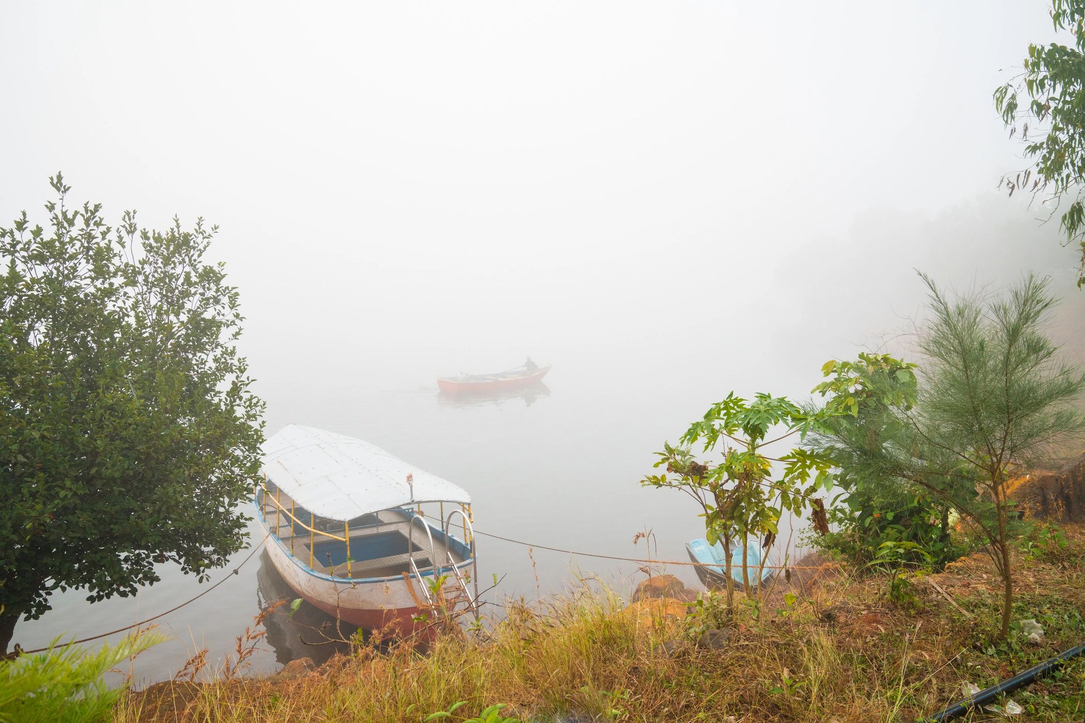 Boatman moving through fog on a calm river