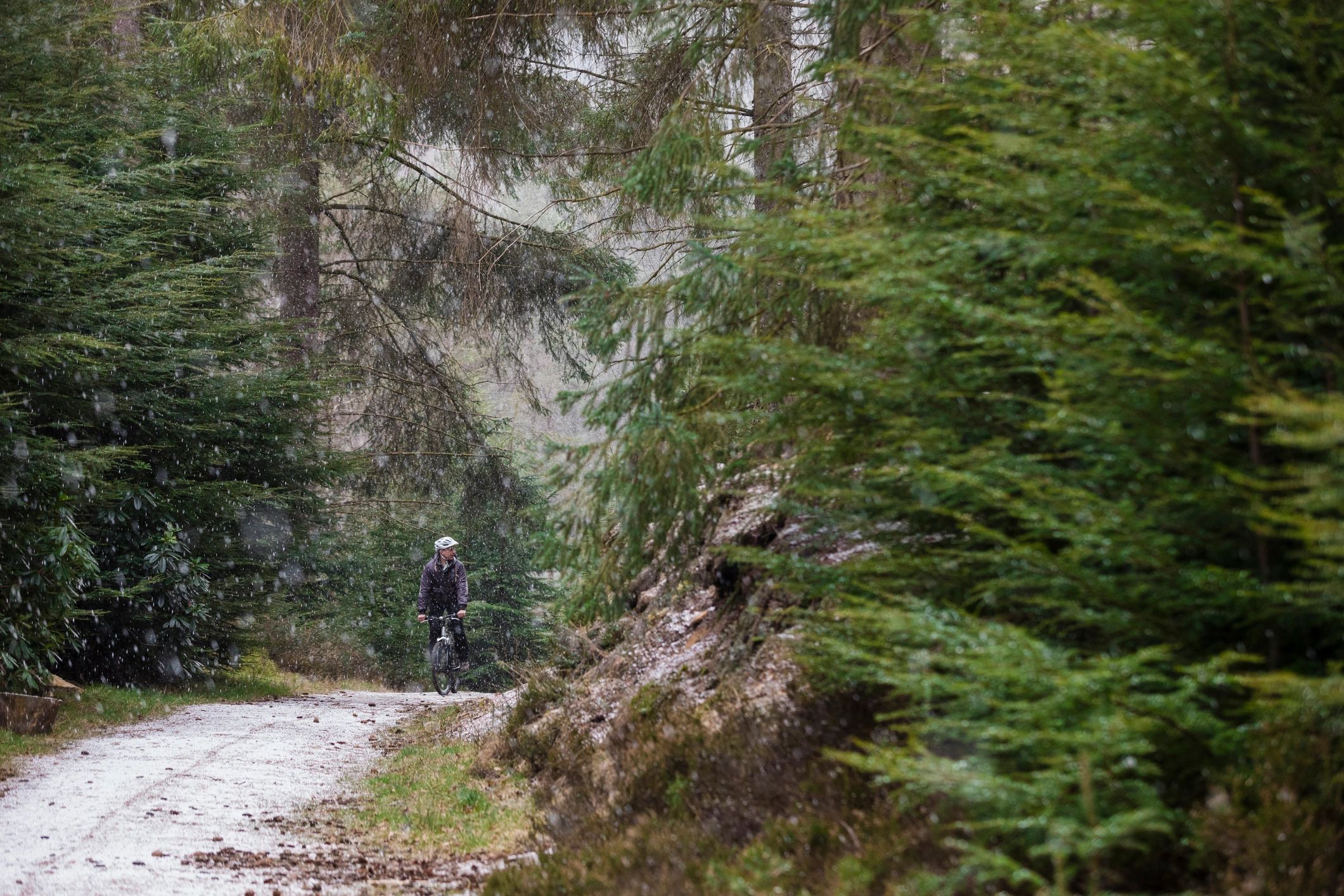 Mountain biker riding through rainy woods on a narrow path