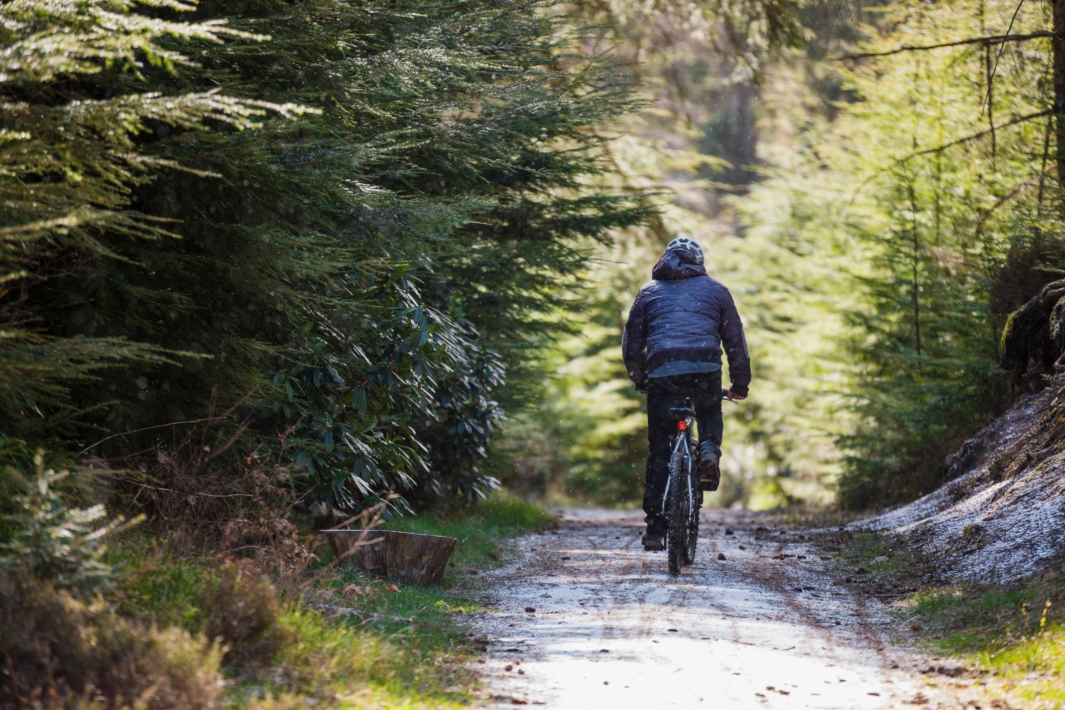 Cyclist riding a bike through a wooded singletrack trail