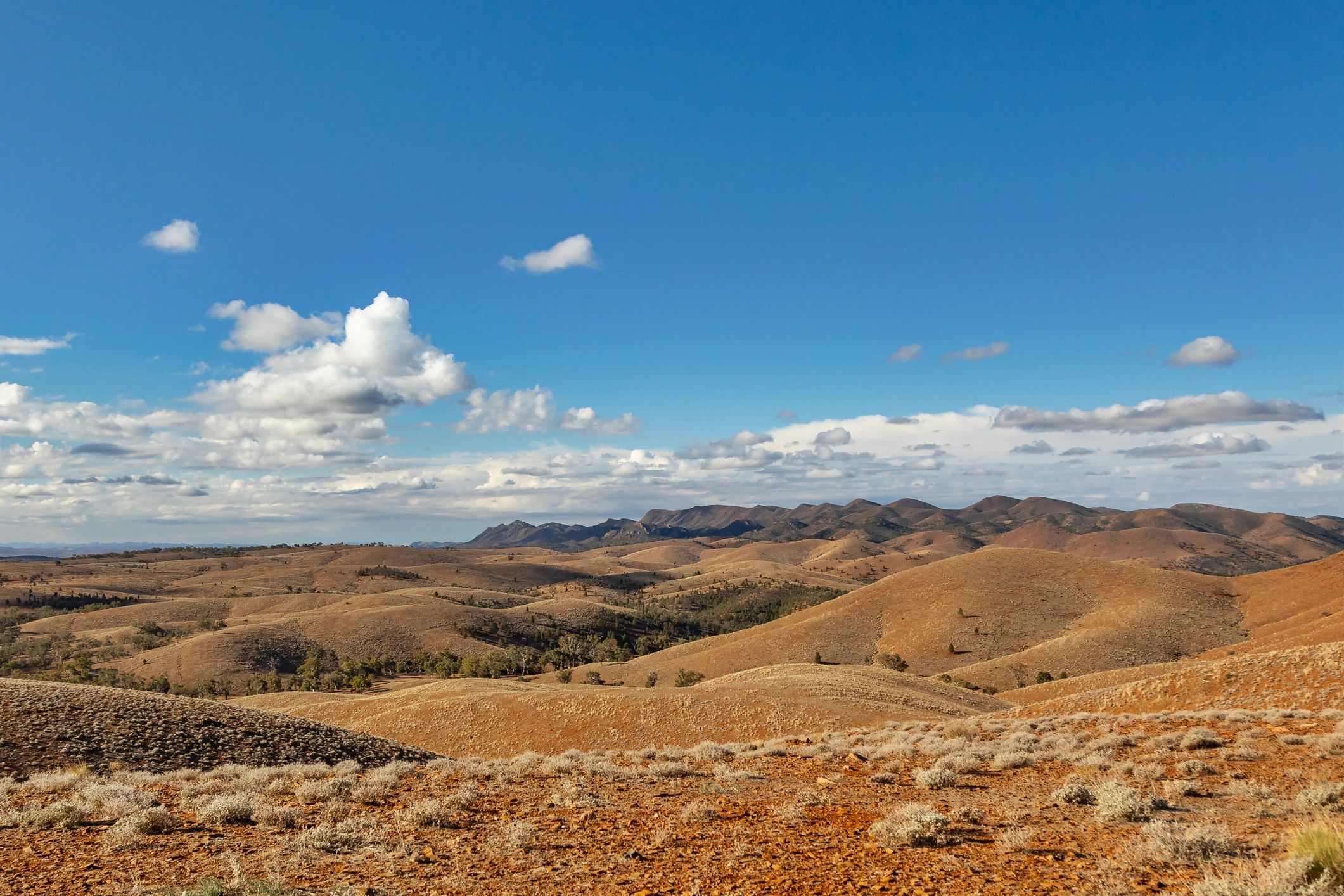 Scenic overlook above a rugged landscape