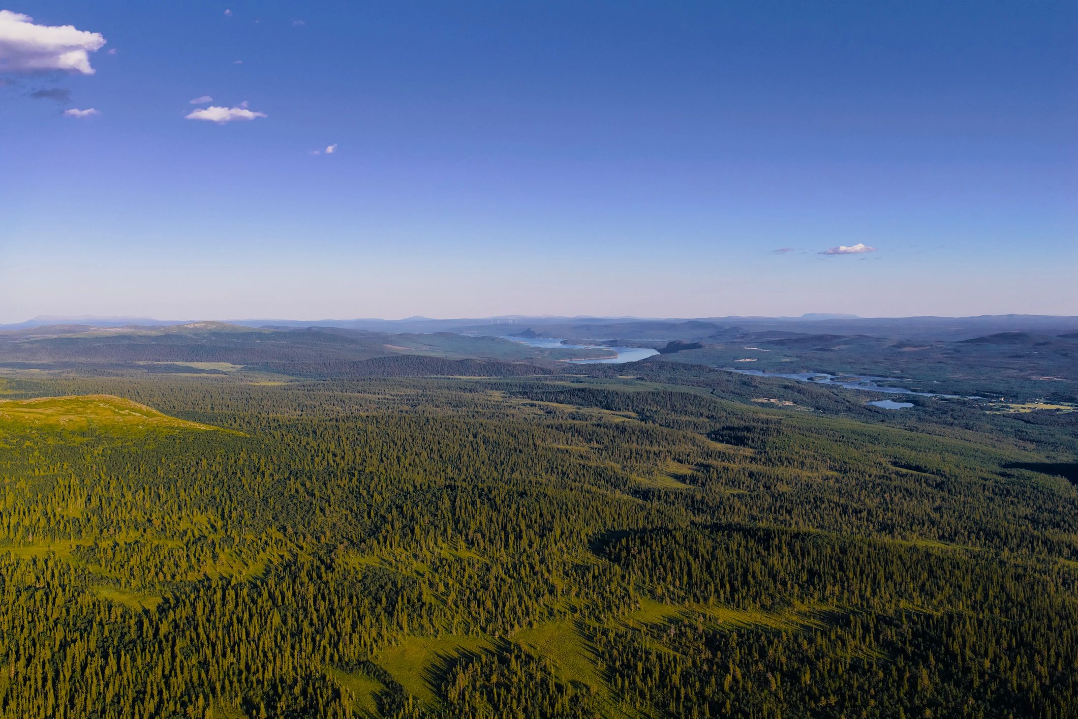Scenic lake surrounded by forest and open water