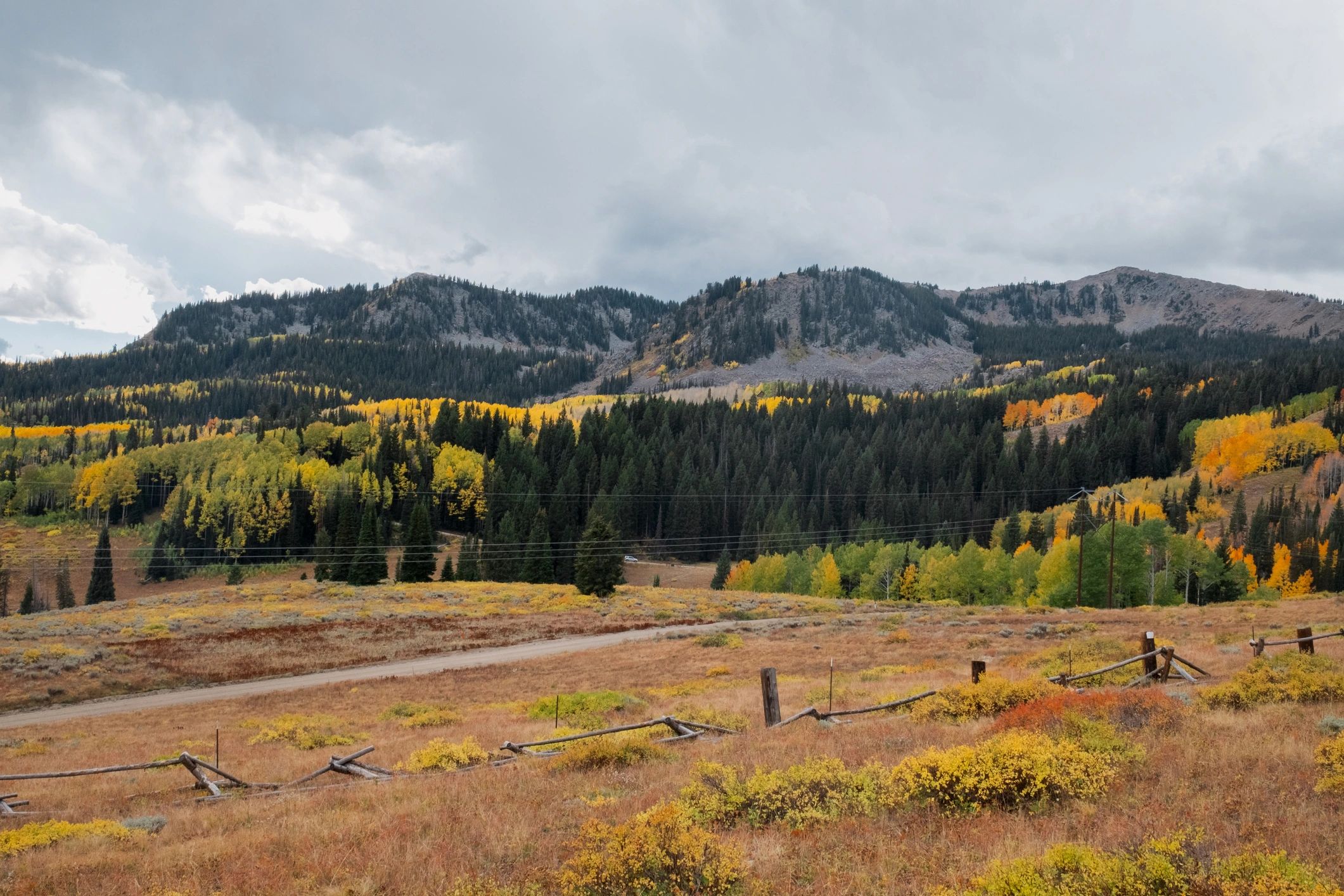 Rustic dirt road crossing a mountain meadow